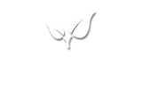 요금안내