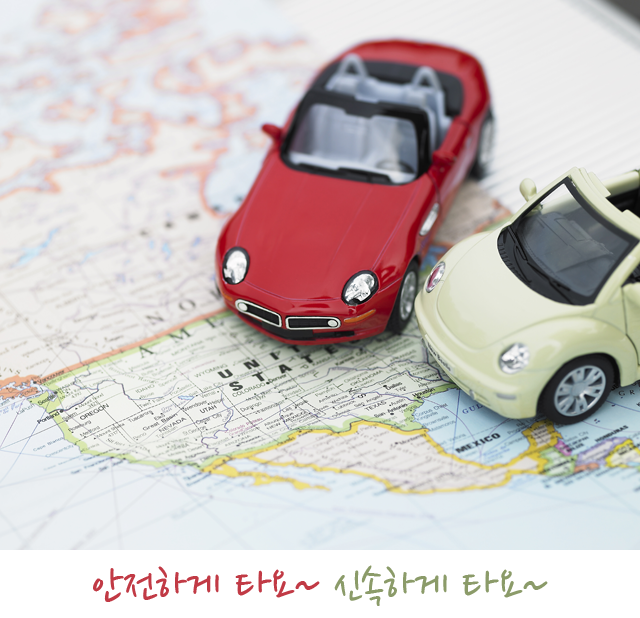 제주 타요타요 대리운전 